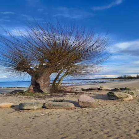 Dom wakacyjny Comfort Meets Coastal Charm *